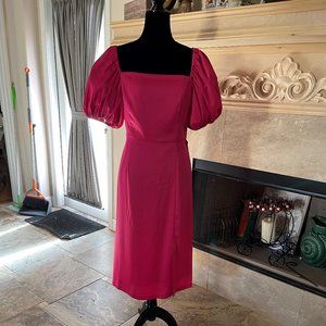 NWT Fuschia Pink Gorgeous Puff sleeves  Lined dress size 12